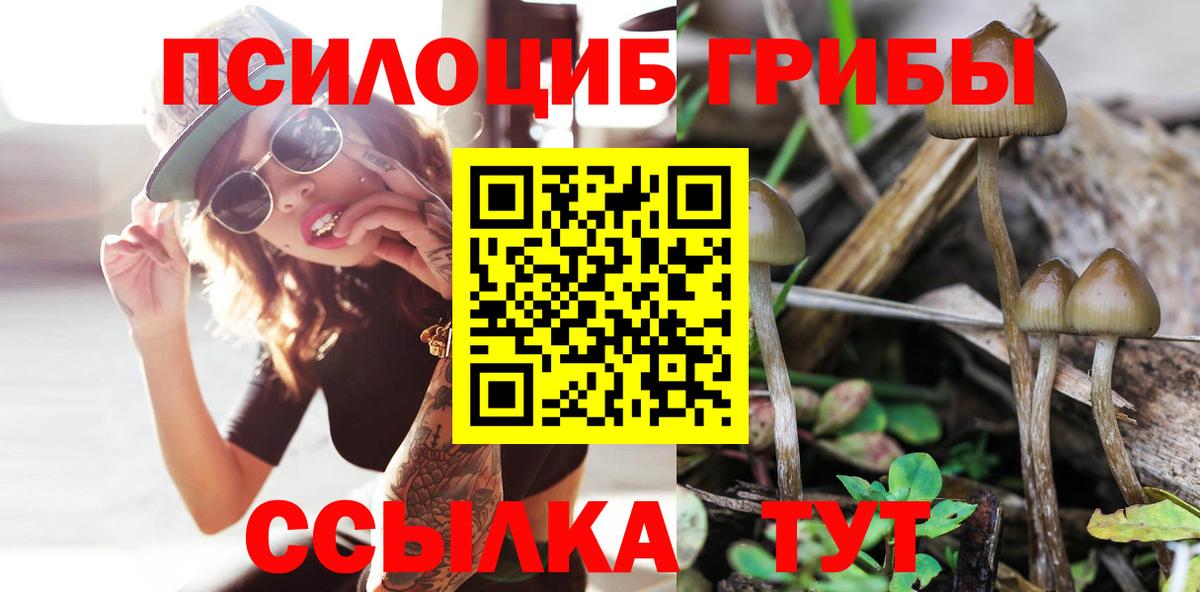 Галлюциногенные грибы ЛСД  Псилоцибиновые грибы Magic Shrooms  Волгодонск  Вход с VPN 